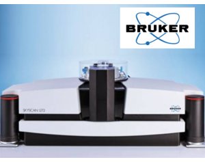  SkyScan 1272高分辨率X射线显微CT（XRM）布鲁克 可检测材料
