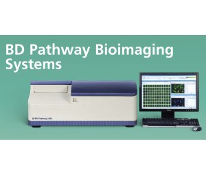 BD Pathway435高内涵细胞分析仪