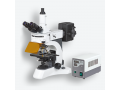 N-800F实验室荧光显微镜