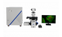 激光共聚焦耐可视共聚焦显微镜 样本