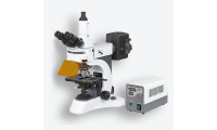 荧光显微镜实验室荧光显微镜永新光学