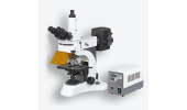 荧光显微镜实验室荧光显微镜N-800F