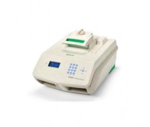 S1000 384孔PCR 仪，梯度PCR