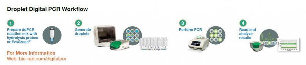 QX200 微滴式数字PCR系统