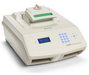 S1000 96孔快速PCR 仪
