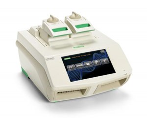 C1000 Touch 96孔快速PCR 仪