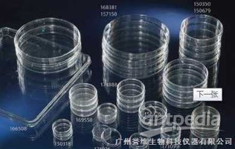 广州细胞培养皿