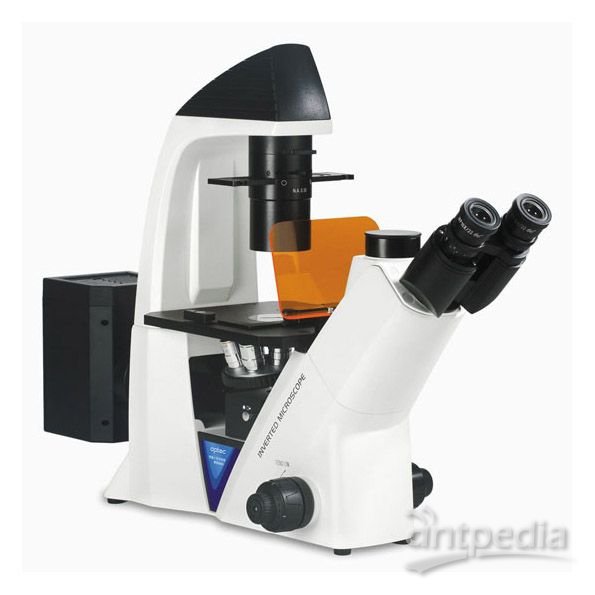 <em>BDS</em>400倒置荧光显微镜