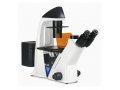 BDS400倒置荧光显微镜
