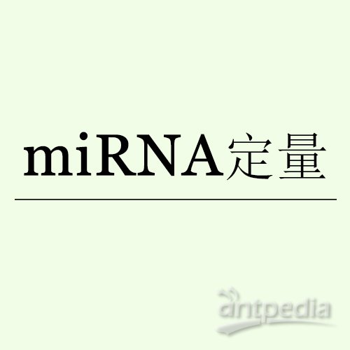 <em>miRNA</em>定量