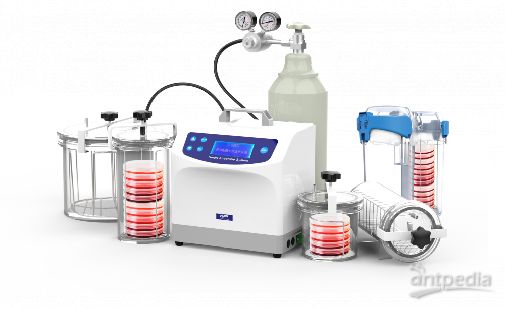 DW-100A-K系列大微生物 智能厌氧微生物培养系统  应用于饮用水及饮料