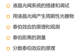 SGO-18 泰伯效应实验系统
