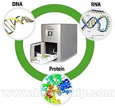 全自动核酸与蛋白质提取仪（SFDA受理