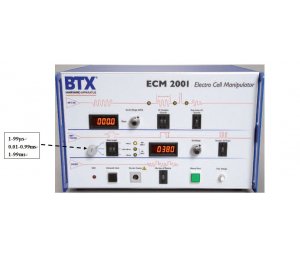 BTX ECM2001 细胞电融合&电穿孔仪-电穿孔仪器