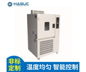HASUC 热老化试验机 高低温湿热试验箱