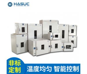 HASUC 热循环试验箱 高温持久试验箱 DHG BPG