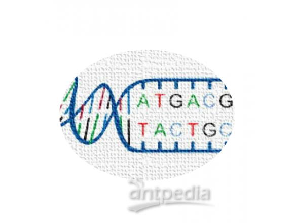 基因组测序数据分析