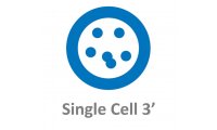 10x Genomics Chromium 3'单细胞转录组测序