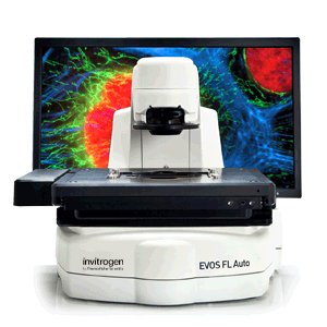 <em>Invitrogen</em> EVOS FL细胞荧光成像系统