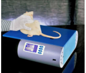 鼠尾摆动测量仪-鼠尾血压测量仪