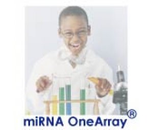 华联人类miRNA OneArray芯片