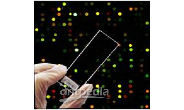 华联基因芯片玻璃基材