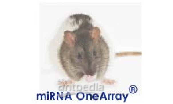 华联小鼠大鼠miRNA OneArray芯片