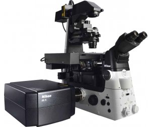 A1 HD25 / A1R HD25共聚焦显微镜