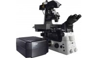 共聚焦显微镜A1 HD25 / A1R HD25激光共聚焦