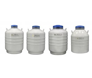 查特金凤液氮罐（YDS-35-(80/125)/YDS-47-127）贮存型