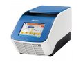 Thermo梯度PCR仪