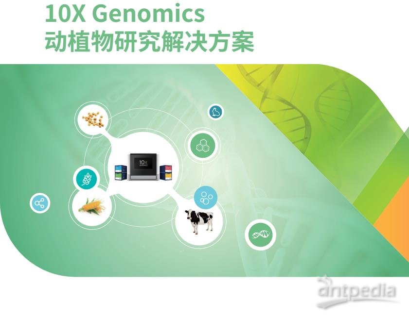 <em>10X</em> Genomics 基因组 de novo 测序