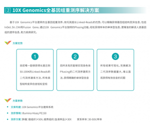 10X Genomics全基因组重测序解决方案
