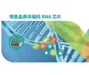 生命科学服务-医学非编码RNA测序产品