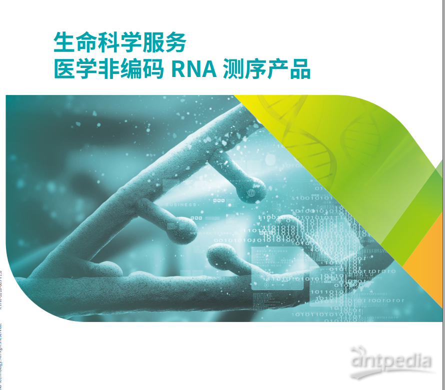 Illumina <em>small</em> RNA测序