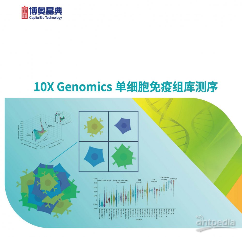 10X Genomics <em>单细胞</em><em>免疫</em><em>组</em><em>库</em><em>测序</em>