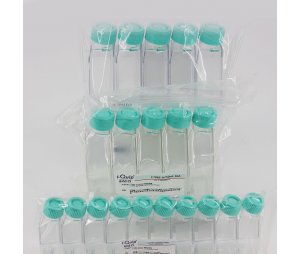 芯硅谷 C7069 细胞培养瓶(25ml、50ml、250ml、600ml、850ml),聚苯乙烯,已灭菌