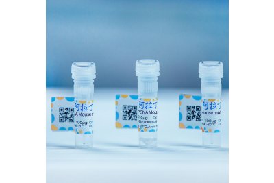 Gold Multiplex PCR Mix
