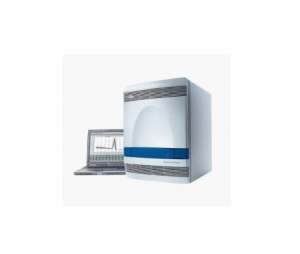 荧光定量PCR/引物合成/EMSA/RT-PCR/ELISA/原位杂交/质粒构建服务