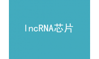lncRNA芯片服务