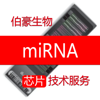 miRNA<em>芯片</em>服务