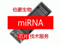 miRNA芯片服务