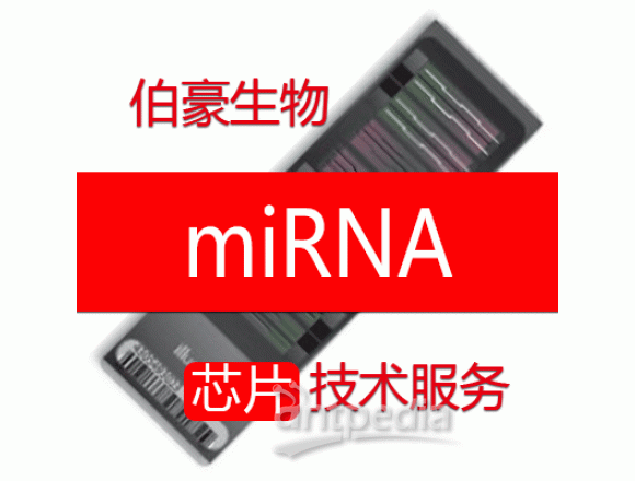 转录组-miRNA芯片