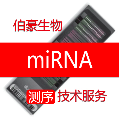 miRNA测序服务