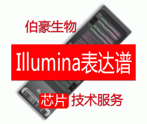 Illumina基因表达谱芯片服务