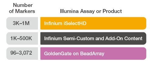 Illumina 定制芯片服务