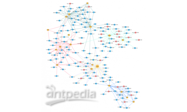 ceRNA 调控网络