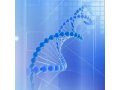 microRNA靶基因的预测与验证