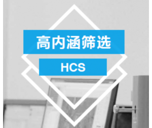 HCS高内涵筛选（功能基因组学）