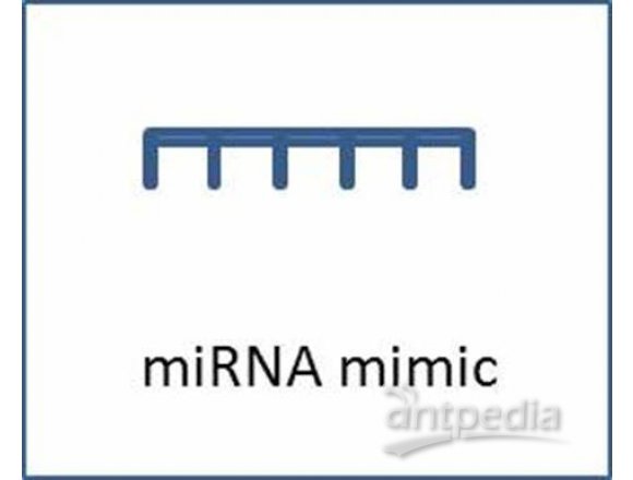 miRNA mimics